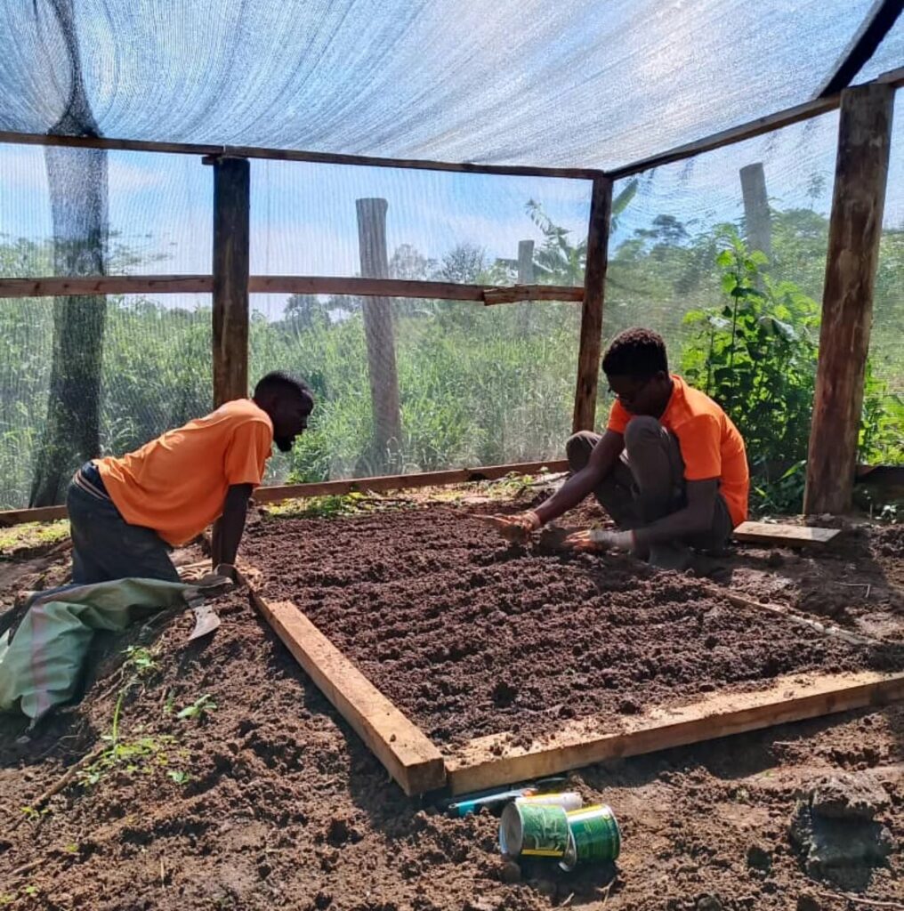 Tjeko Food Forest Moestuin in Nursery