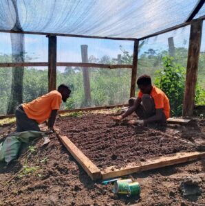 Nursery in Food Forest